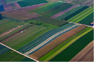 field